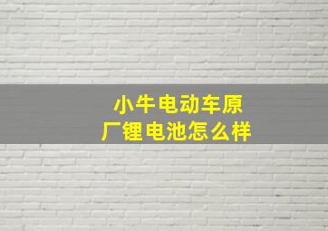 小牛电动车原厂锂电池怎么样