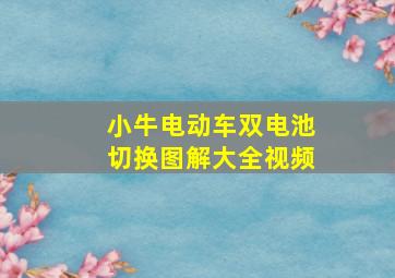 小牛电动车双电池切换图解大全视频