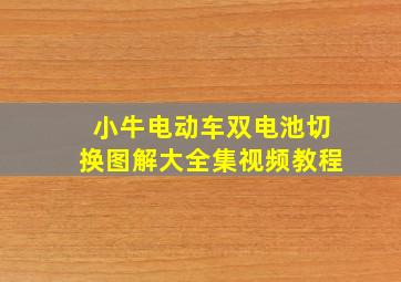 小牛电动车双电池切换图解大全集视频教程