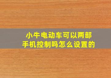 小牛电动车可以两部手机控制吗怎么设置的