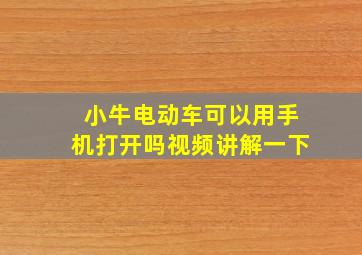 小牛电动车可以用手机打开吗视频讲解一下