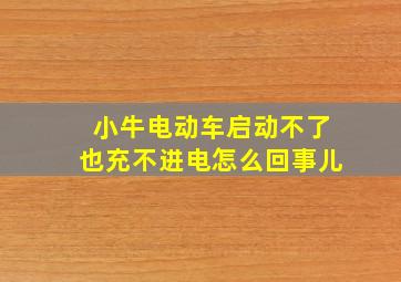 小牛电动车启动不了也充不进电怎么回事儿