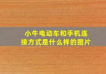 小牛电动车和手机连接方式是什么样的图片