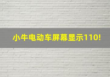 小牛电动车屏幕显示110!