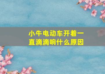 小牛电动车开着一直滴滴响什么原因