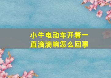 小牛电动车开着一直滴滴响怎么回事