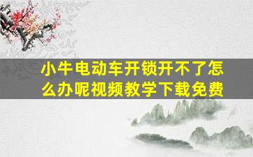 小牛电动车开锁开不了怎么办呢视频教学下载免费