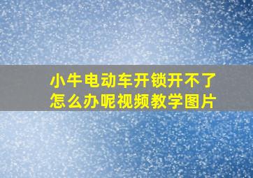 小牛电动车开锁开不了怎么办呢视频教学图片