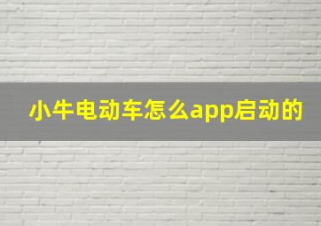 小牛电动车怎么app启动的