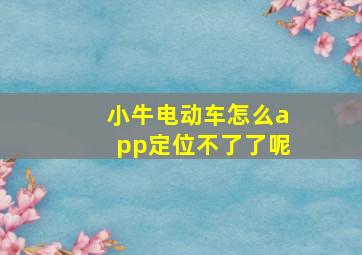 小牛电动车怎么app定位不了了呢