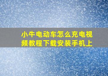 小牛电动车怎么充电视频教程下载安装手机上