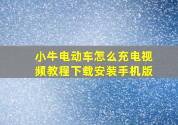 小牛电动车怎么充电视频教程下载安装手机版