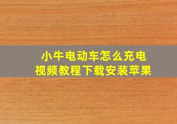 小牛电动车怎么充电视频教程下载安装苹果