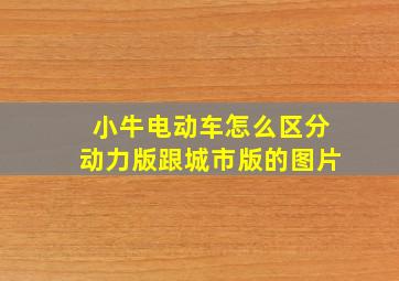 小牛电动车怎么区分动力版跟城市版的图片