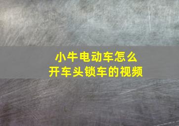 小牛电动车怎么开车头锁车的视频