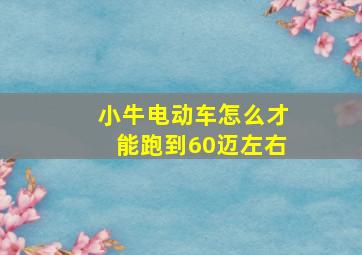 小牛电动车怎么才能跑到60迈左右