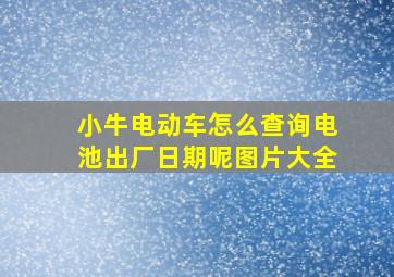 小牛电动车怎么查询电池出厂日期呢图片大全