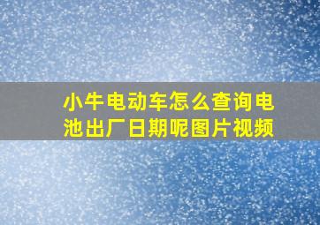 小牛电动车怎么查询电池出厂日期呢图片视频