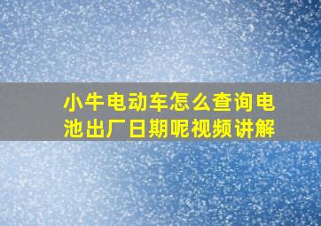 小牛电动车怎么查询电池出厂日期呢视频讲解