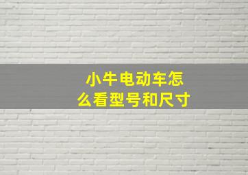 小牛电动车怎么看型号和尺寸