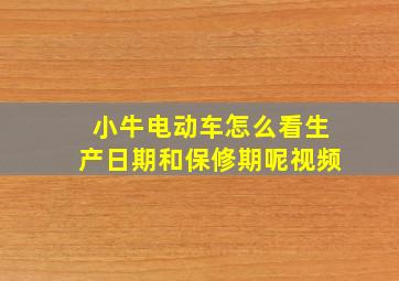 小牛电动车怎么看生产日期和保修期呢视频