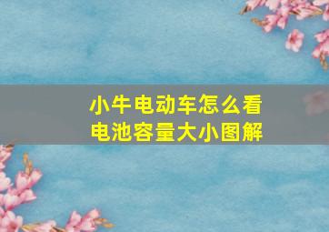 小牛电动车怎么看电池容量大小图解