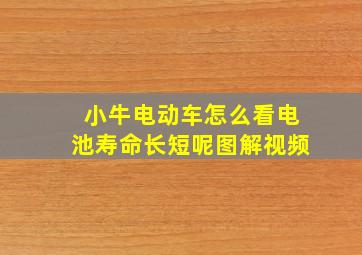 小牛电动车怎么看电池寿命长短呢图解视频