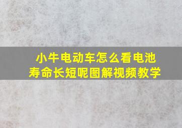 小牛电动车怎么看电池寿命长短呢图解视频教学