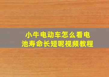 小牛电动车怎么看电池寿命长短呢视频教程