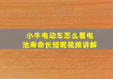 小牛电动车怎么看电池寿命长短呢视频讲解