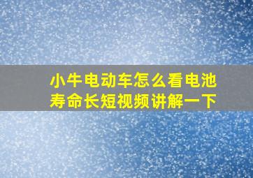 小牛电动车怎么看电池寿命长短视频讲解一下