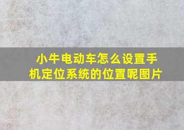 小牛电动车怎么设置手机定位系统的位置呢图片