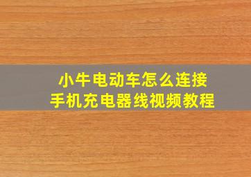 小牛电动车怎么连接手机充电器线视频教程