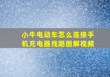 小牛电动车怎么连接手机充电器线路图解视频