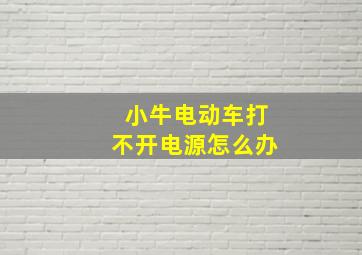 小牛电动车打不开电源怎么办