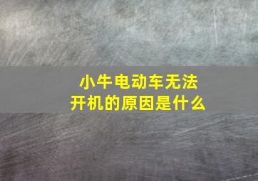 小牛电动车无法开机的原因是什么