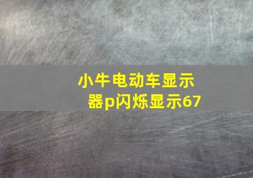 小牛电动车显示器p闪烁显示67