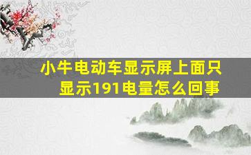 小牛电动车显示屏上面只显示191电量怎么回事