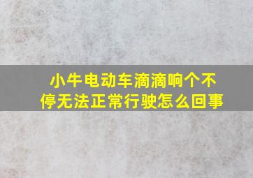 小牛电动车滴滴响个不停无法正常行驶怎么回事