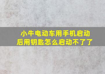 小牛电动车用手机启动后用钥匙怎么启动不了了