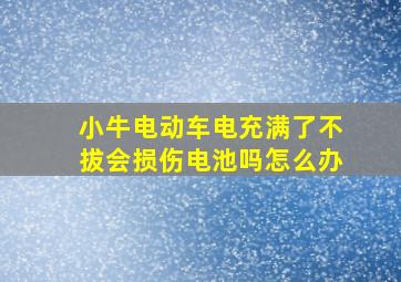 小牛电动车电充满了不拔会损伤电池吗怎么办