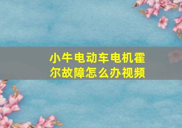 小牛电动车电机霍尔故障怎么办视频