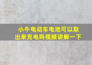 小牛电动车电池可以取出来充电吗视频讲解一下