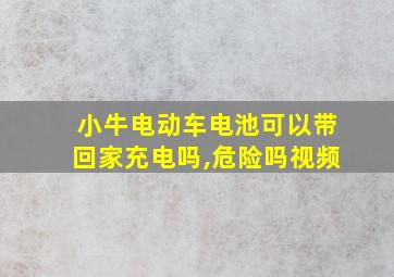 小牛电动车电池可以带回家充电吗,危险吗视频