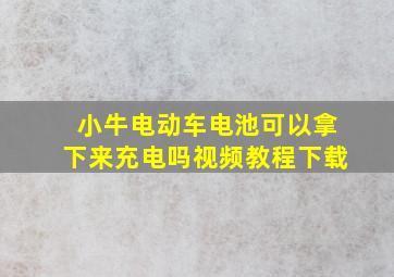 小牛电动车电池可以拿下来充电吗视频教程下载