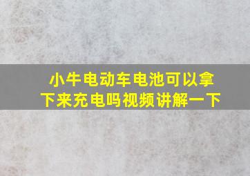 小牛电动车电池可以拿下来充电吗视频讲解一下