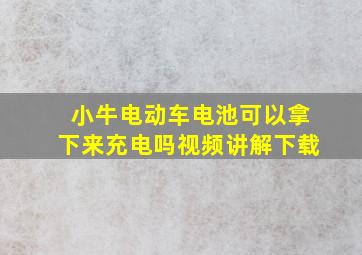 小牛电动车电池可以拿下来充电吗视频讲解下载