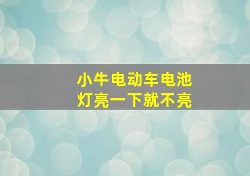 小牛电动车电池灯亮一下就不亮