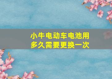 小牛电动车电池用多久需要更换一次