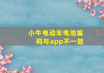 小牛电动车电池编码与app不一致